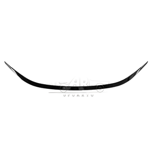 2021-2022 Geely Zeekr 001 Rear Middle Spoiler ABS