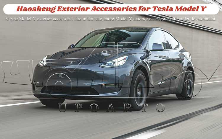 MODEL Y TUNING