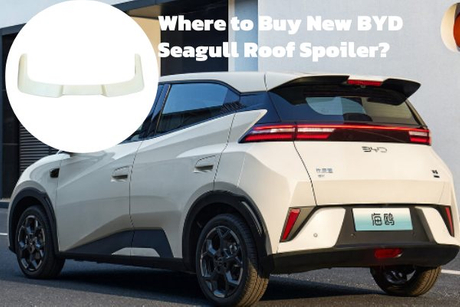Where to Buy New BYD Seagull Roof Spoiler.jpg