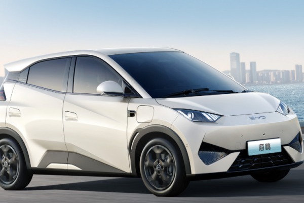 2025 byd seagull