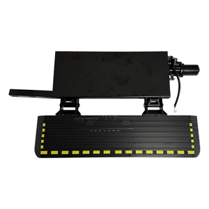 Minibus Electric Running Boards
